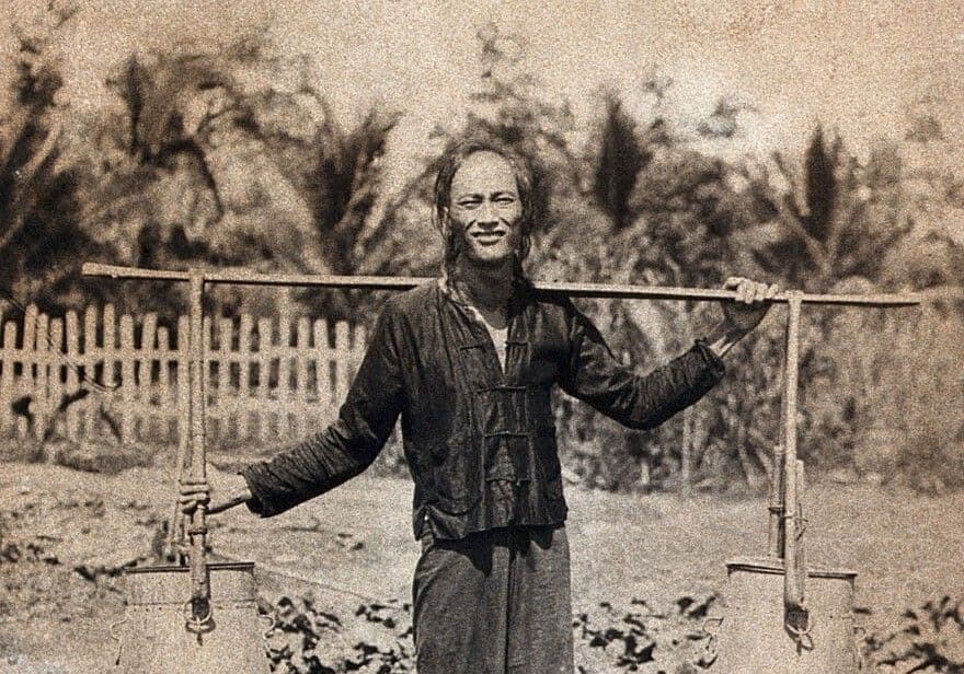 A man in traditional Chinese dress carries pails of faeces, supported by a pole across his back, with which he will fertilise a vegetable garden, Kuching Sarawak, Borneo.